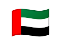 UAE flag