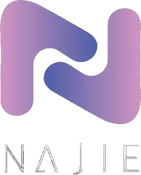 Najie company logo